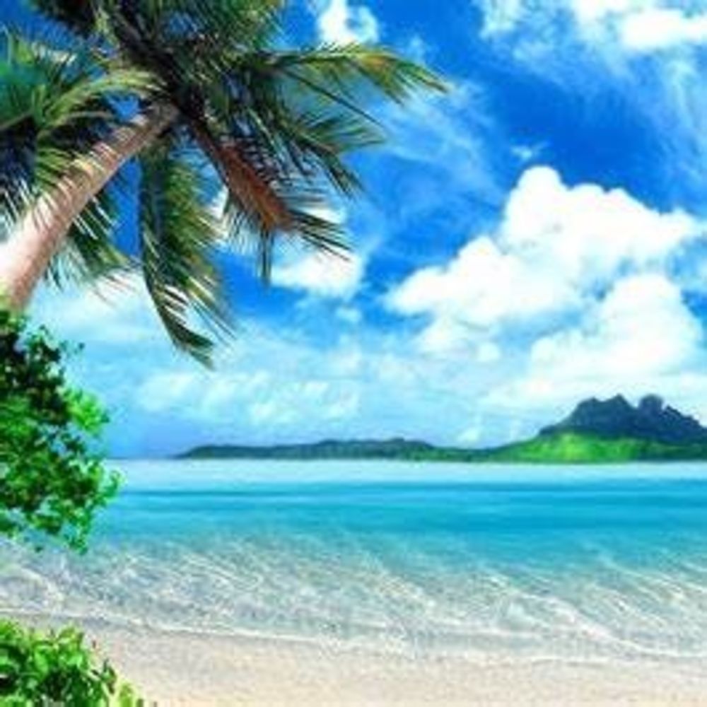 Meet your Posher, Patti